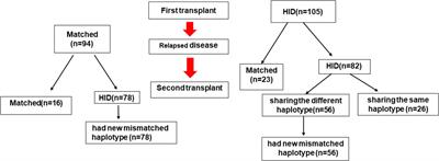 Prognostic factors of second hematopoietic allogeneic stem cell transplantation among hematological malignancy patients relapsed after first hematopoietic stem cell transplantation: A single center study